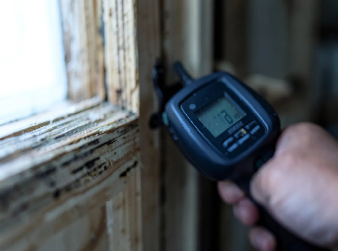 Moisture Inspection And Documentation in Waterloo, IA